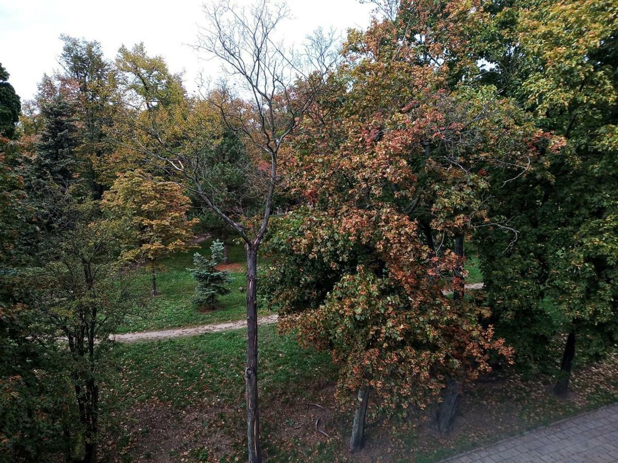 Central Park Apartment Zielona Góra Buitenkant foto